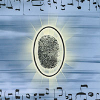 POCKET DWELLERS: Digitally Organic
