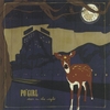 PO' GIRL: Deer in the Night