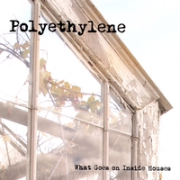Polyethylene : What Goes on Inside Houses
