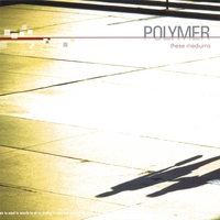 POLYMER: These Mediums