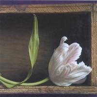 PONDERING JUDD: Lonesome Heart Strangers