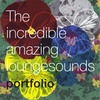 PORTFOLIO: The incredible amazing loungesounds