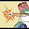 Positive Vibrations Youth Steel Orchestra: Positive Vibrations