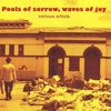 VARIOUS ARTISTS: Pools of Sorrow, Waves of Joy