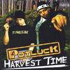 POTLUCK: Harvest Time
