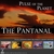 PULSE OF THE PLANET AUDIO JOURNEYS: Sounds Of The Pantanal