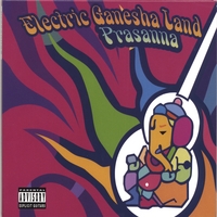 PRASANNA: Electric Ganesha Land