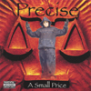 PRECISE: A Small Price