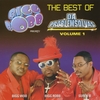 BIGG ROBB & /DA PROBLEM SOLVAS: Best Of Vol 1