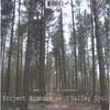 PROJECT BLUBOOK: Severn Valley Soul vs.Project Blubook Volume 1