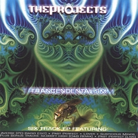 THE PROJECTS: Trancendentalism