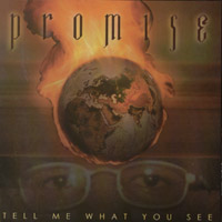 Promise : Tell Me What You See