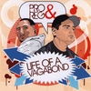 PRO & REG: Life of a Vagabond