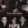 NICOLAS PROST, SAXOPHONE: "Night Songs" - Saxiana Trio