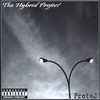 PROTEJ: The Hybrid Project