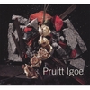 PRUITT IGOE: Pruitt Igoe