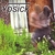 PSICK: Psick