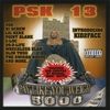 psk air travel content