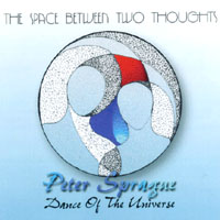 Peter Sprague : The Space Between Two Thoughts