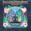 The Psychotropic Band: Established Unknown