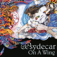 PSYDECAR: On a Wing