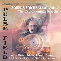 PULSE FIELD: The Everchanging Present