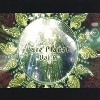VARIOUS ARTISTS: Pure Planet Vol.2