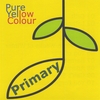 PURE YELLOW COLOUR: Primary