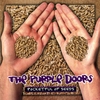 THE PURPLE DOORS: Pocketful of Seeds