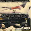 PUTTIN IT DOWN PRODUCTIONS PRESENTS: Life In The Wild Midwest Vol. 1