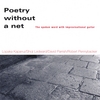 POETRY WITHOUT A NET: Poetry Without A Net