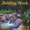 PUREWHITENOISE.COM: Babbling Brook CD
