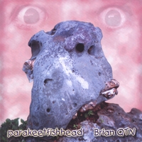 Brian Cutean/QTN : Parakeetfishhead
