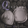 THE QUAHAUGS: Venus mercenaria
