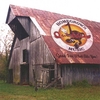 QUICKDRAW HOMEGROWN MUSIC: Good For What Ails You !