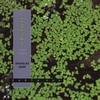 DOUGLAS QUIN: Forests: A Book of Hours