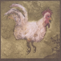 Quintin Nadig : Slip Songs