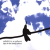 RABBIT IS A SPHERE: Laps In The Sleep Saloon
