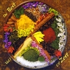 Rachel Walker Trio: Best of Zest Vol.1