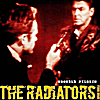 The Radiators From Space: Trouble Pilgrim
