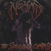 NOMAD: The Spinning Compass