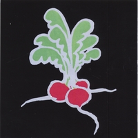 The Radishes : Sophia