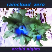 Raincloud Zero : Orchid Nights