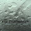 THE RAINJUNKIES: Reach for the Water