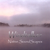 RANDY ALAN MOTZ: Windtalker - Native SoundScapes