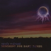 RANDY REDROAD: Sunshine For Dark Minds