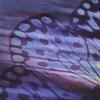 ROSANNE RANERI: Shift