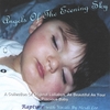 RAPTURE WITH VOCALS BY HEIDI LEE: Angels Of The Evening Sky