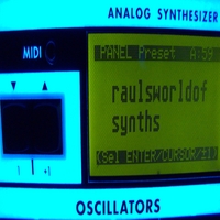 Raul Pena III : Raul's World of Synths
