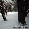 RAW NOVEMBRE: My Bones